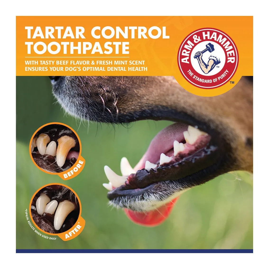 Arm & Hammer Tartar Control Enzymatic Toothpaste for Dogs 70mL - Beef Flavour