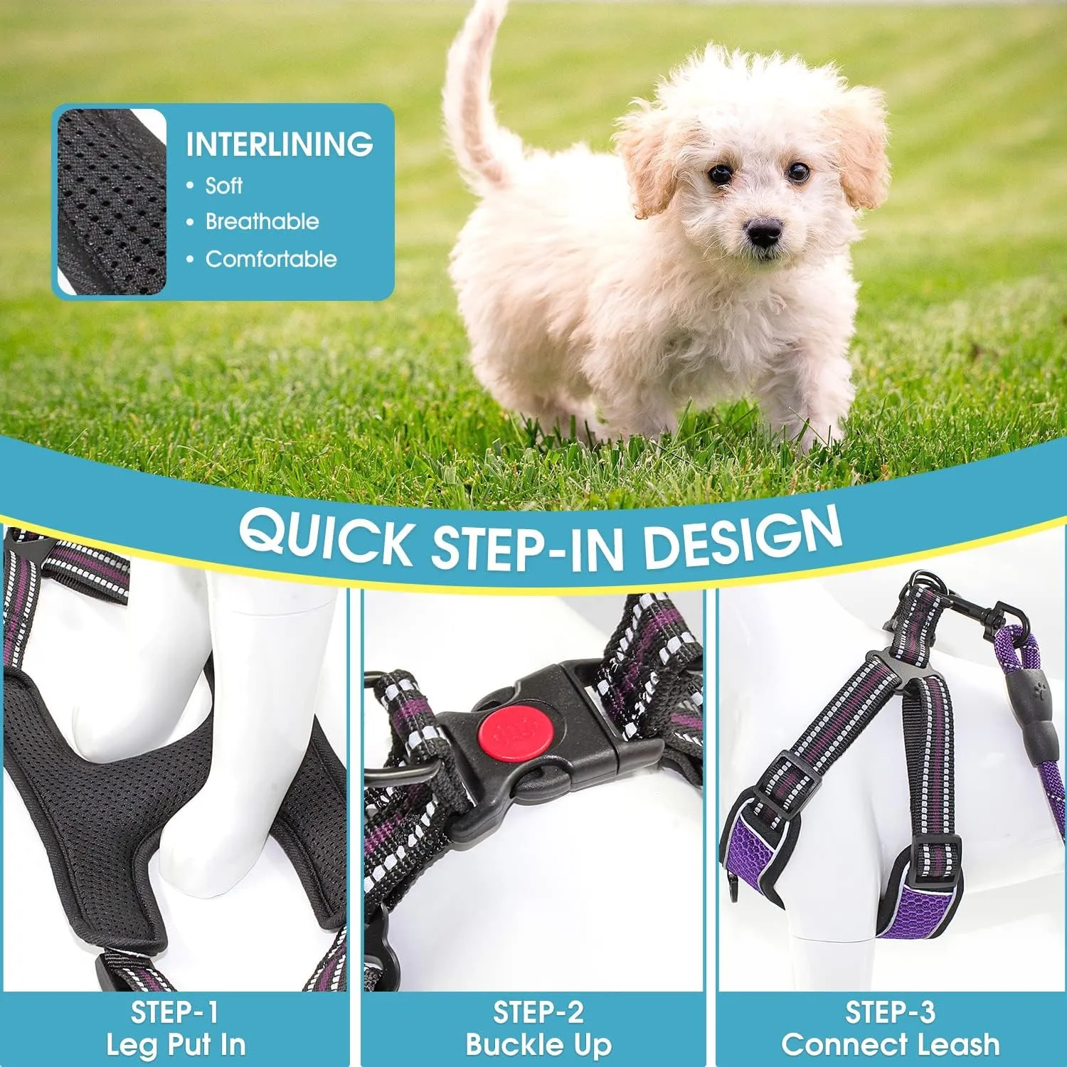 BAAPET Breathable Dog Harness for Small Puppy, Medium Dogs Step-in and Air Mesh with 6 Feet Reflective Rope Dog Leash (XL - 6 FT x Chest (24~28''), Purple)