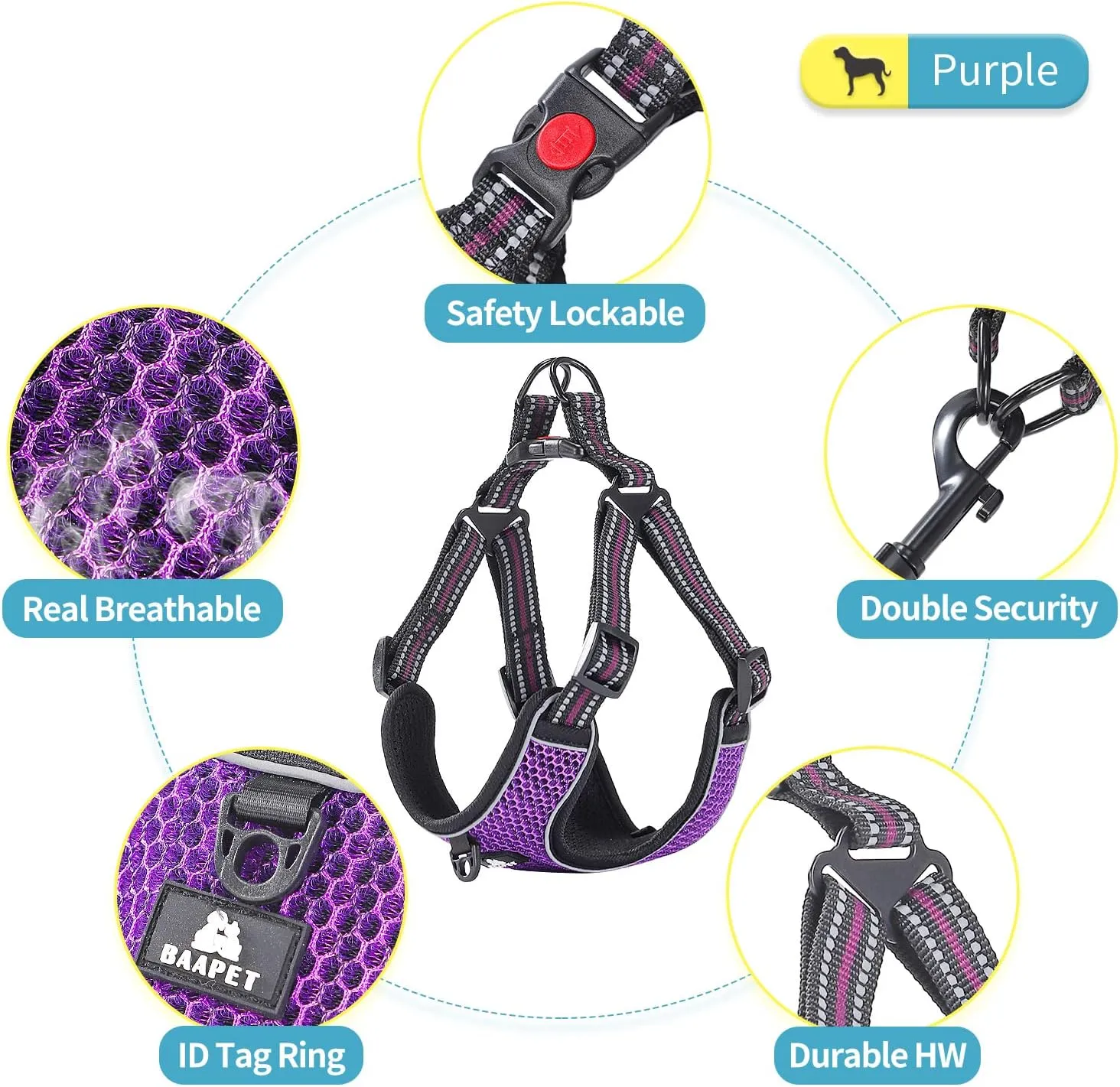 BAAPET Breathable Dog Harness for Small Puppy, Medium Dogs Step-in and Air Mesh with 6 Feet Reflective Rope Dog Leash (XL - 6 FT x Chest (24~28''), Purple)