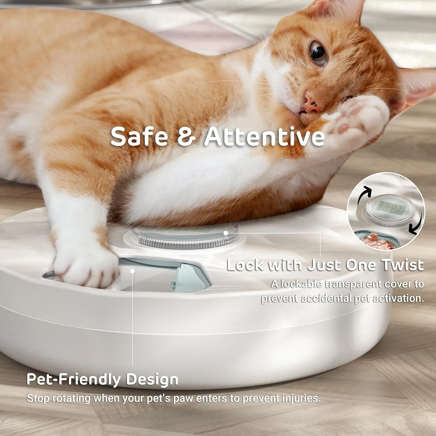 Brioche Automatic Wet Food Feeder for Pets - True 6-Meal Cordless Fresh Can Dispenser with Two Ice Packs, Perfect for Newborn Senior Sick Cats and Small Dogs