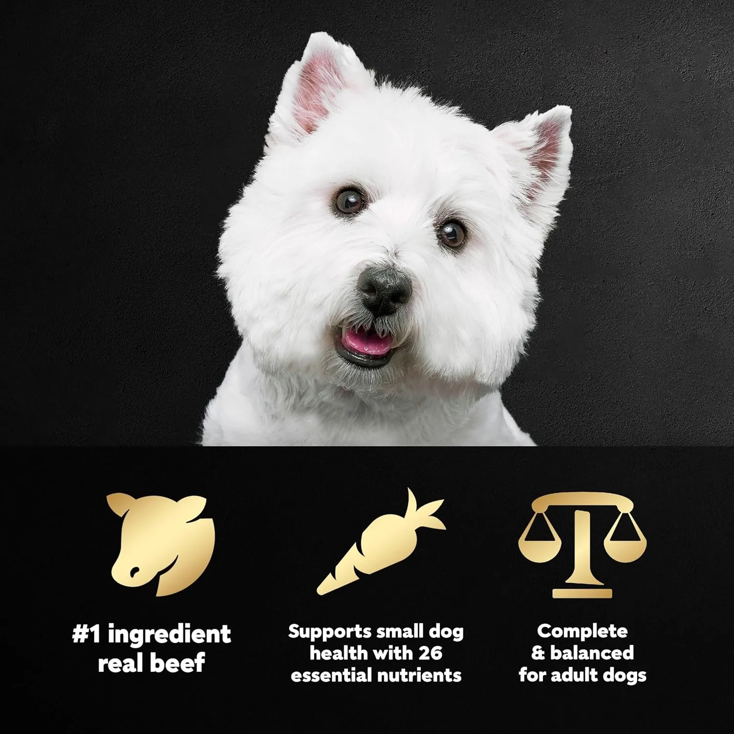 Cesar Small Breed Dry Dog Food Filet Mignon Flavor and Spring Vegetables Garnish, 5 lb. Bag