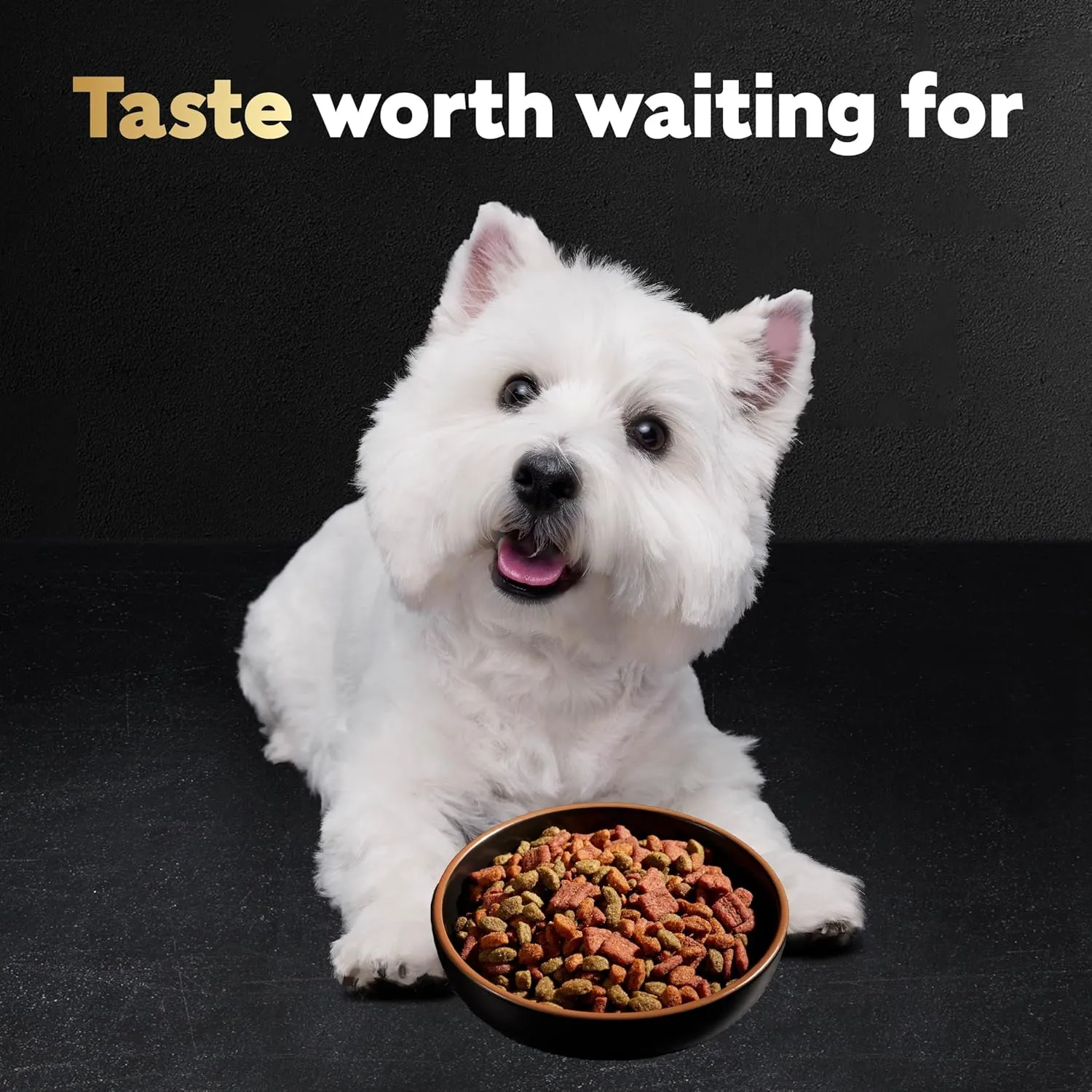 Cesar Small Breed Dry Dog Food Filet Mignon Flavor and Spring Vegetables Garnish, 5 lb. Bag
