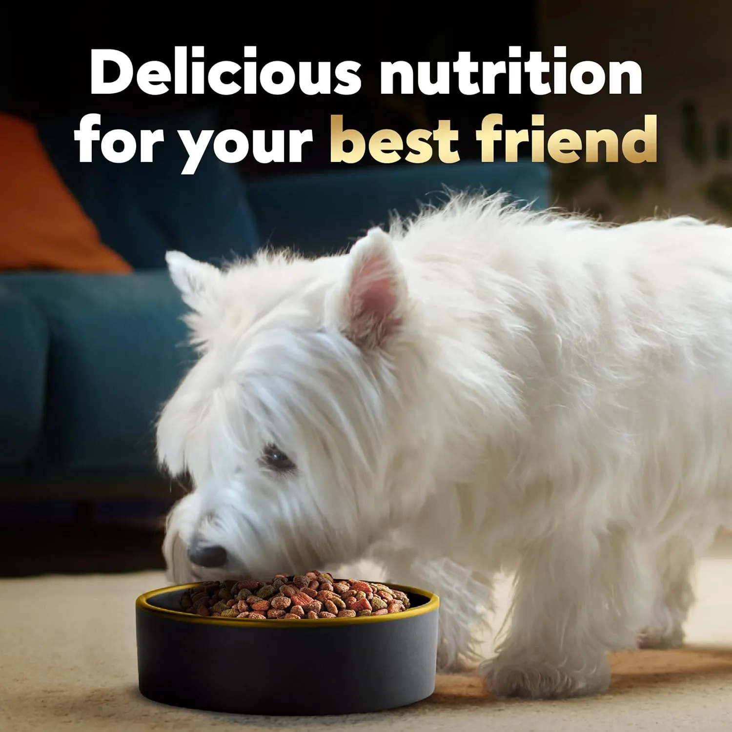 Cesar Small Breed Dry Dog Food Filet Mignon Flavor and Spring Vegetables Garnish, 5 lb. Bag