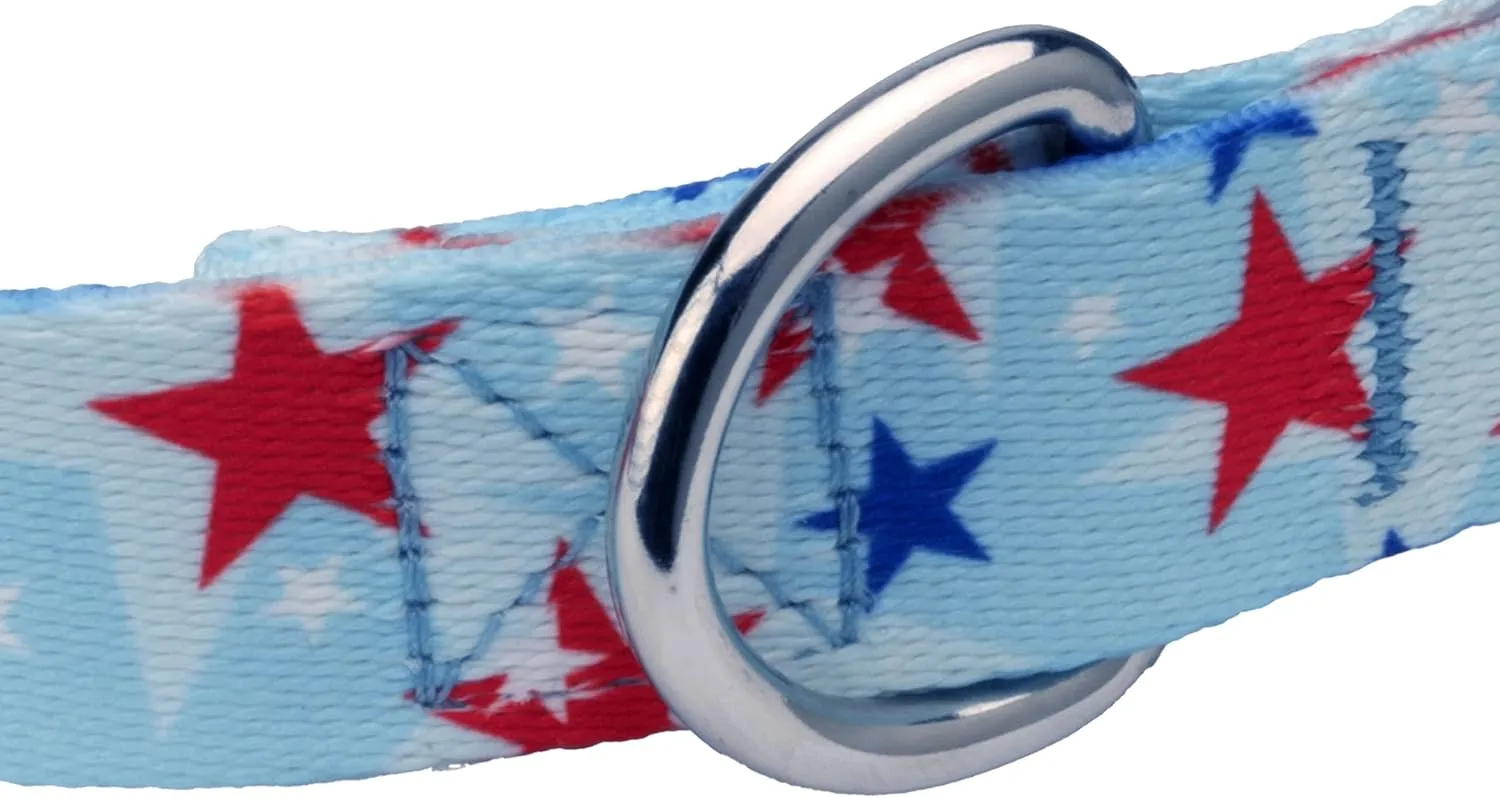Country Brook Petz 5/8 Inch Deluxe Adjustable Dog Collar for Small, Medium, Large Breeds - Americana Collection with Patriotic Designs (American Celebration, Small)