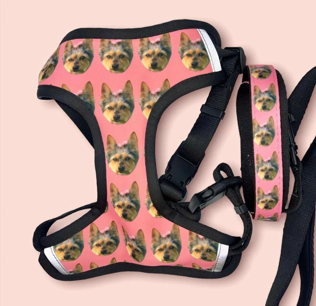 Custom Adjustable Harness