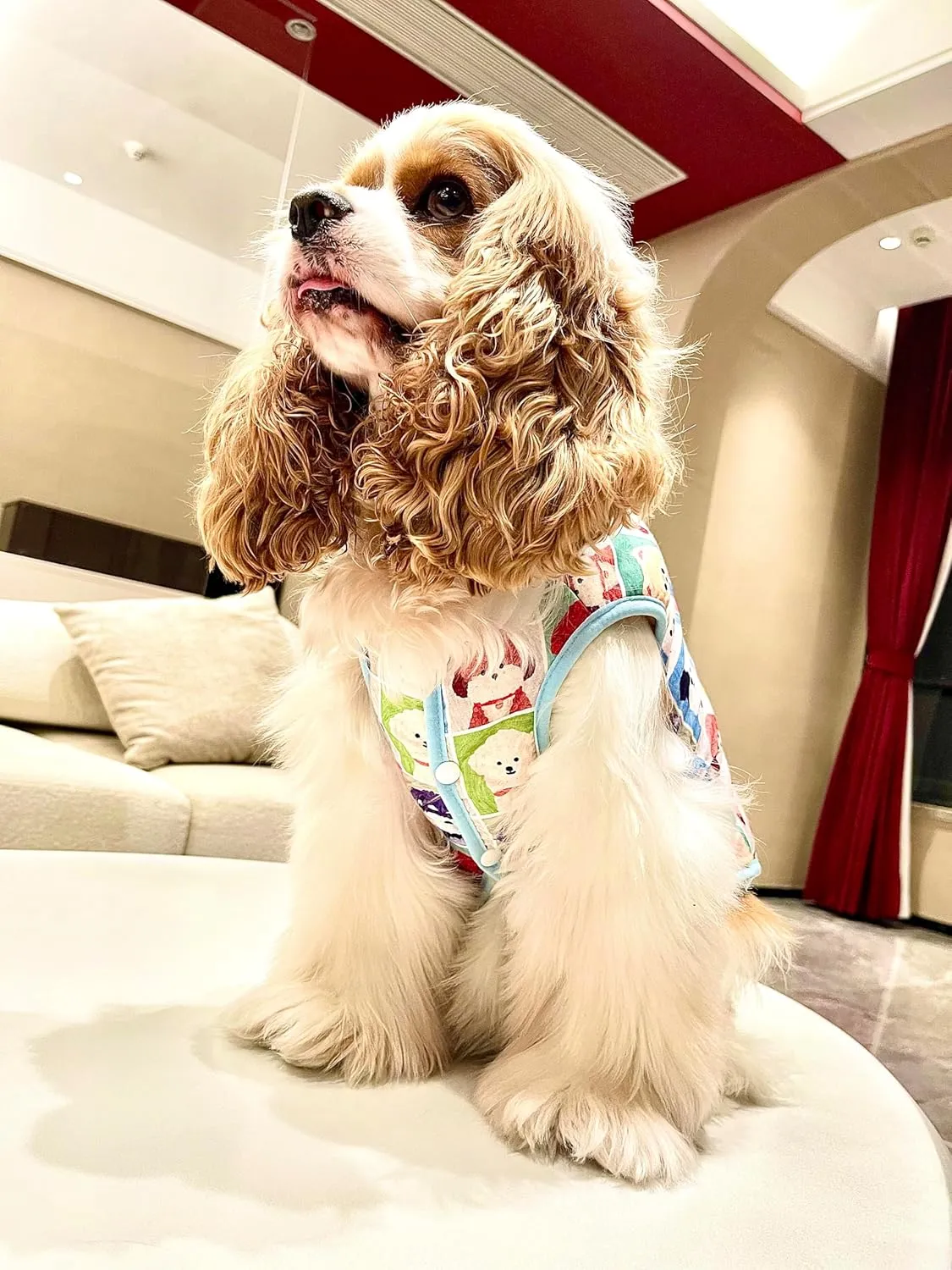 Cute Windproof Dog Winter Coat: Warm Dog Vest with 2 Layers Fleece Lined, Different Cute Dog Avatar Printing, Dog Cold Weather Coats Paded for Bulldog Teddy Small Dogs(Small)