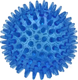 Cutie's PetBox Squeaky Rubber Spike Toy Ball for Medium, Large Dogs (3.5 Inch, Blue)