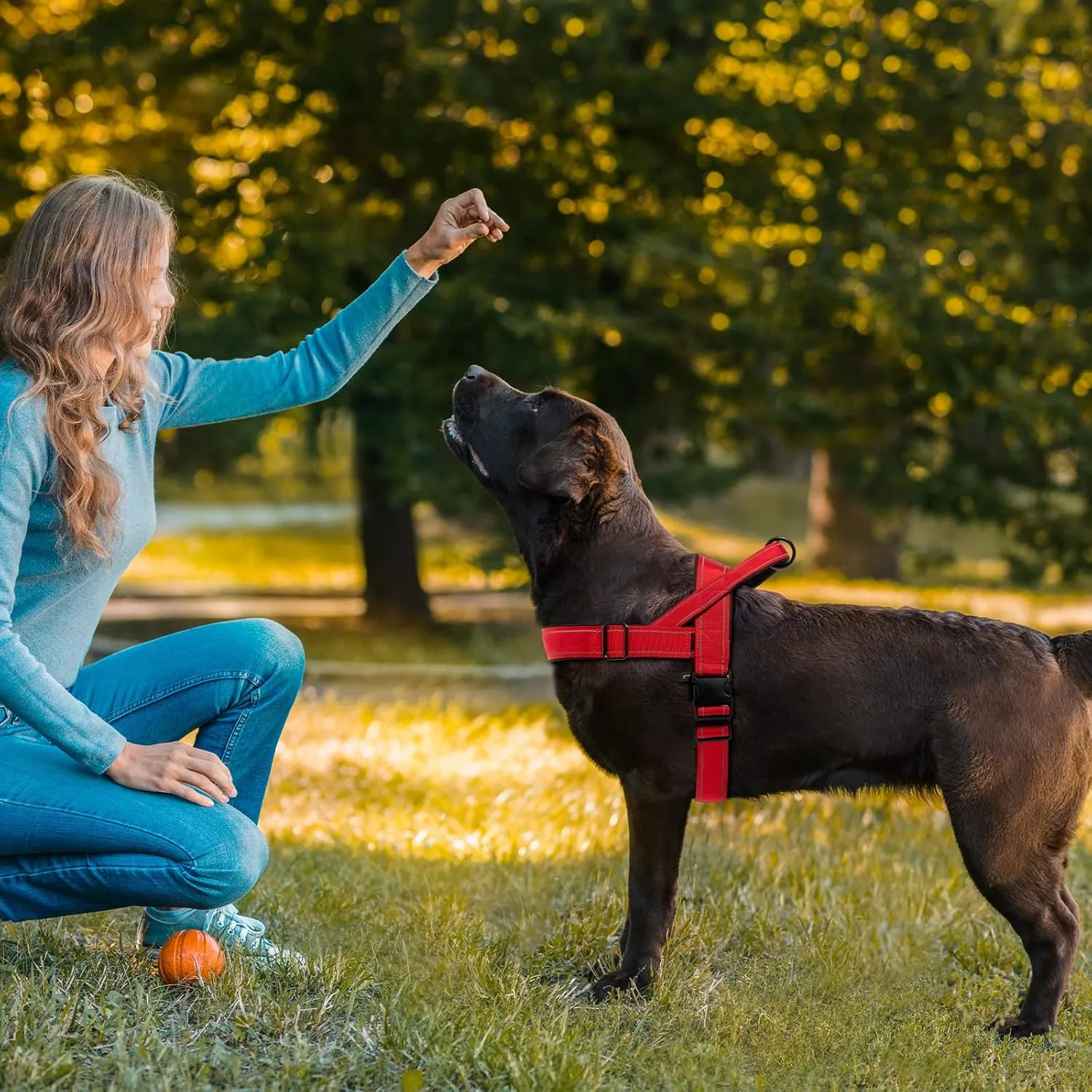 Dog Harness, No Pull Dog Harnesses for Small Medlium Large Dogs Escape Proof Reflective with Comfortable Handle(Red, M)