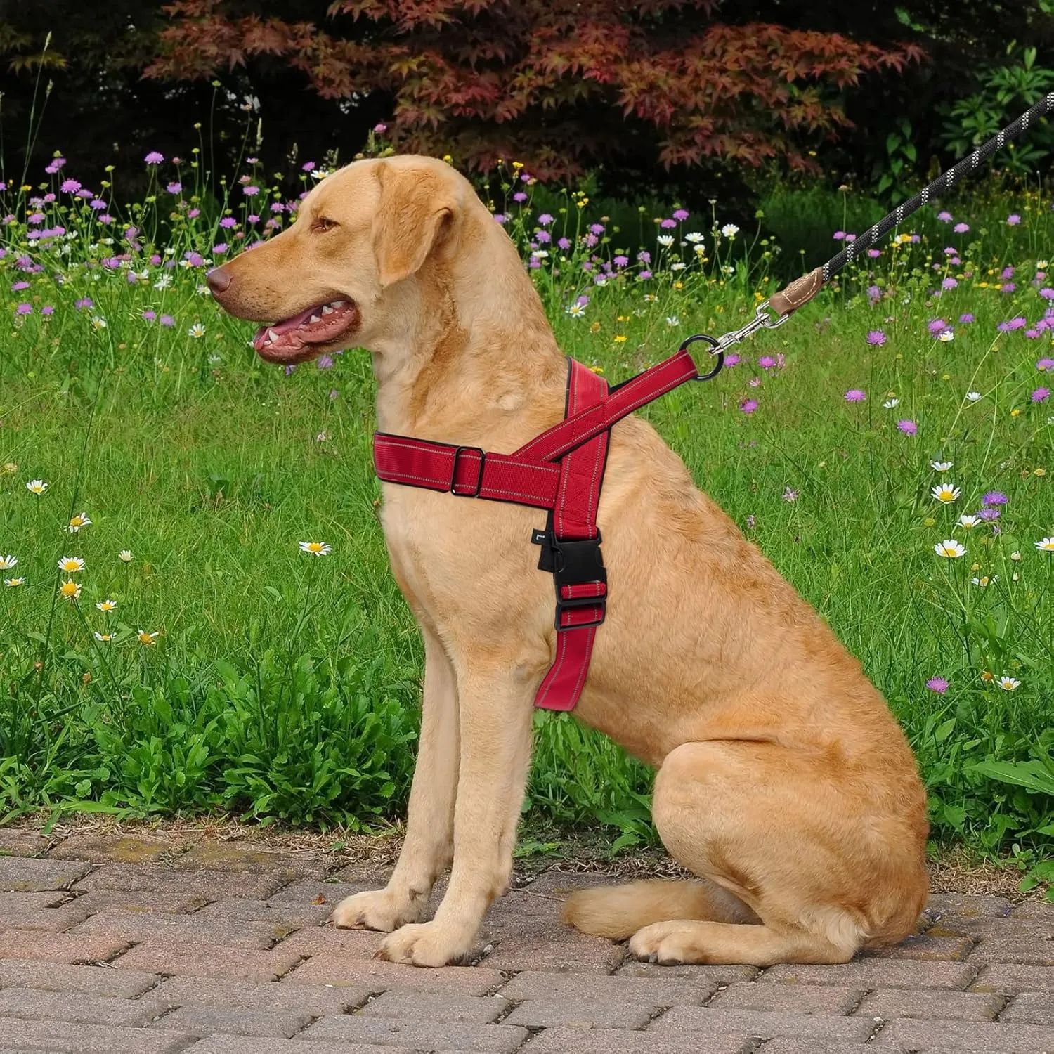 Dog Harness, No Pull Dog Harnesses for Small Medlium Large Dogs Escape Proof Reflective with Comfortable Handle(Red, M)