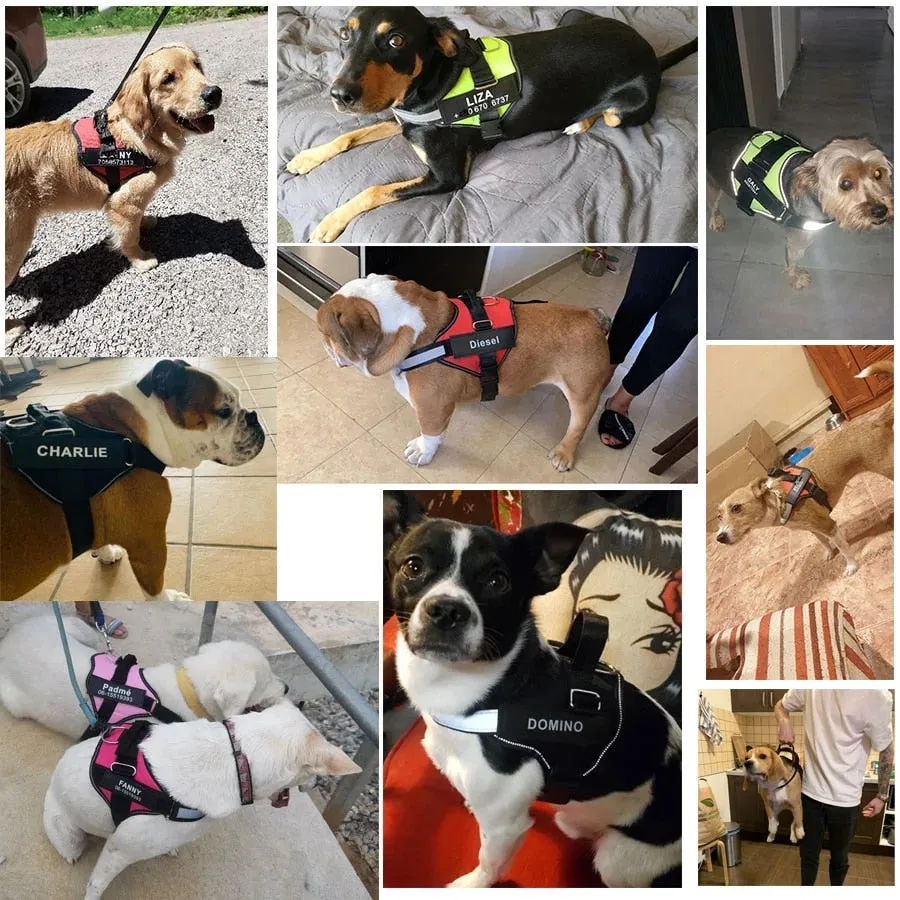 Dog Harness NO PULL Reflective Breathable Adjustable Harness
