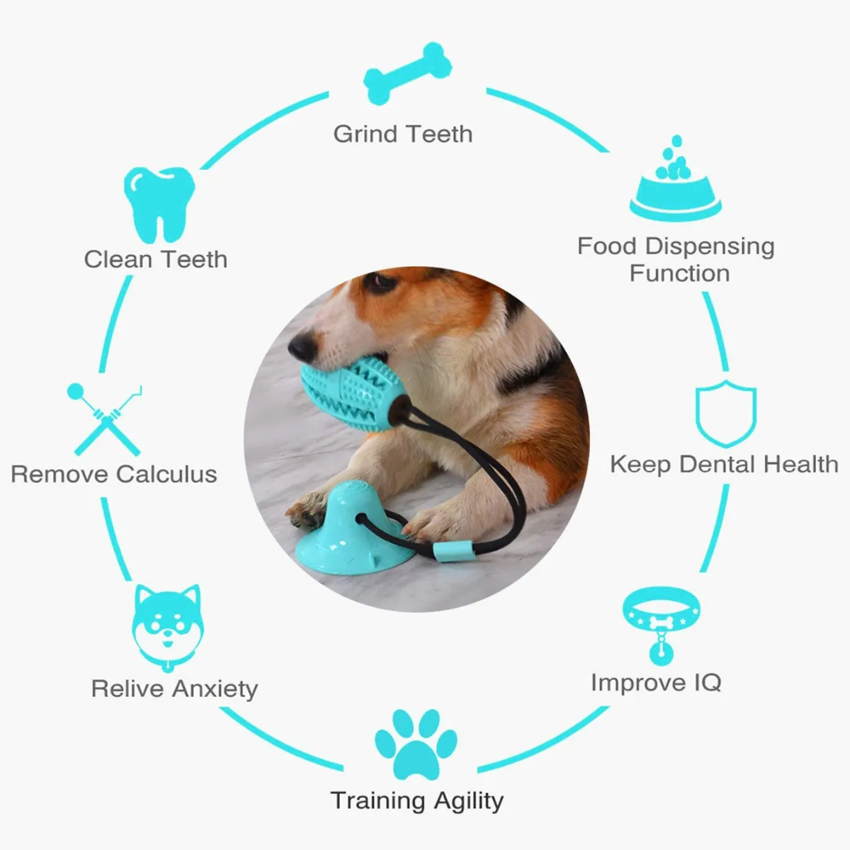 Double Suction Multifunction Molar Chewy Dog Toy