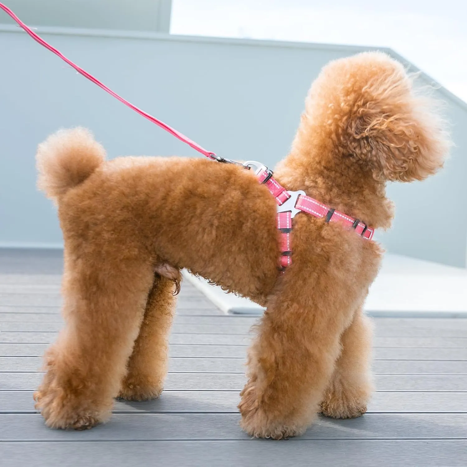 EXCELLENT ELITE SPANKER No Pull Dog Harness Adjustable Nylon Step-in Easy Pet Vest Chest Strap with Reflective and Leash Ring for Small Medium Large Breed Dogs Training Walking(Red-L)