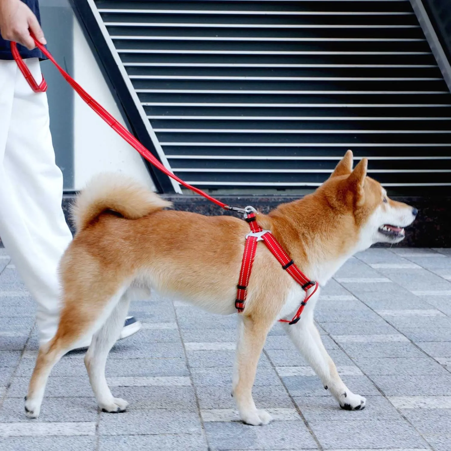 EXCELLENT ELITE SPANKER No Pull Dog Harness Adjustable Nylon Step-in Easy Pet Vest Chest Strap with Reflective and Leash Ring for Small Medium Large Breed Dogs Training Walking(Red-L)