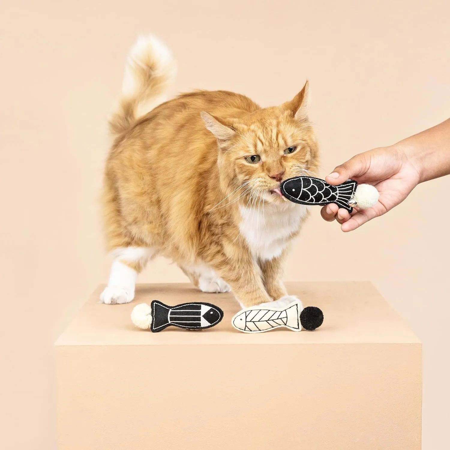 Fringe Studio "Off The Scales Cat Toy Mini Set of 3, PetShop Collection (904028)