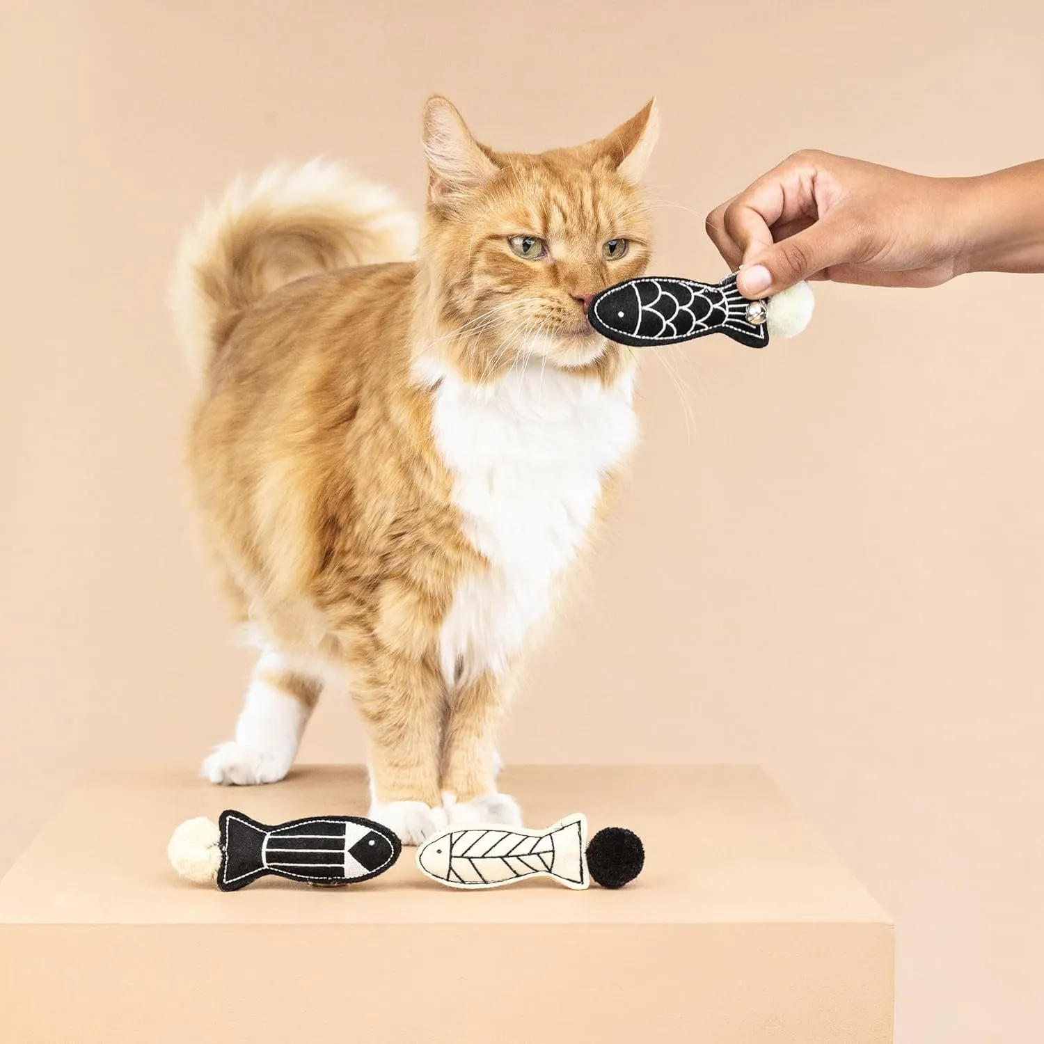 Fringe Studio "Off The Scales Cat Toy Mini Set of 3, PetShop Collection (904028)