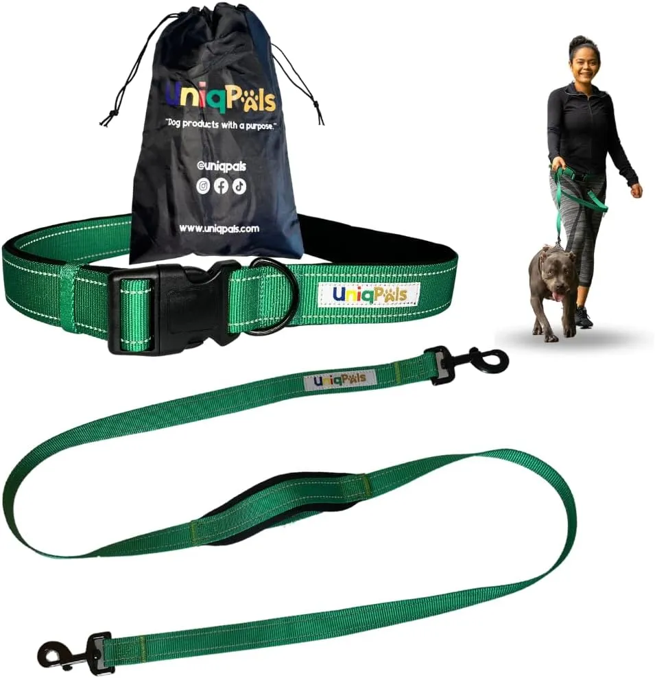 Hands-Free Leash for Small to Large Dogs 5ft - Heavy Duty Adjustable Waist Belt, Padded Handles, Reflective Stitching, Satin Carry Bag for Walking, Running, Hiking