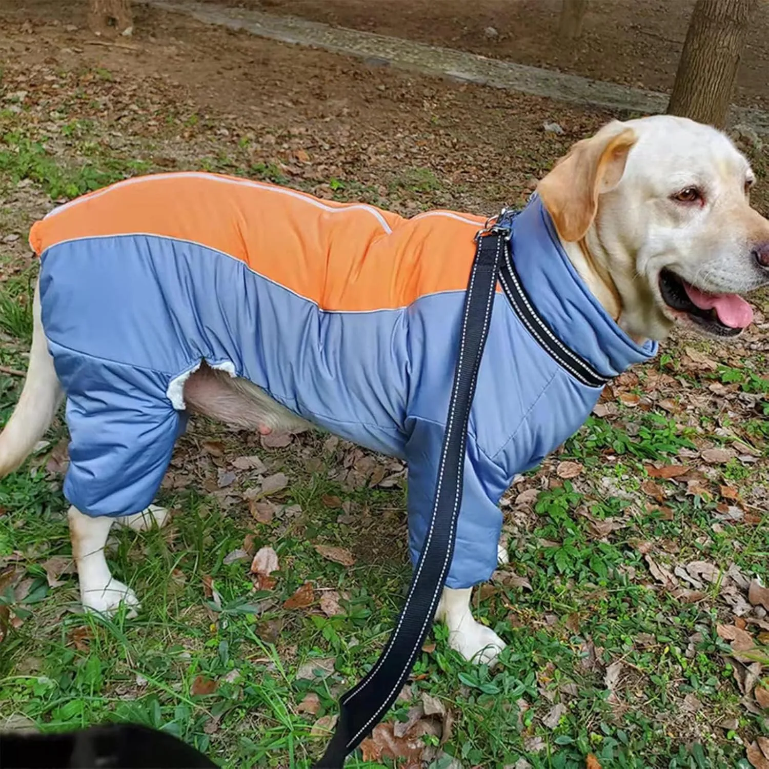 HazeBlue Fullbody Thick Winter Coat, Reflective Windproof Fleece Lined Snowsuit, Zip Up Waterproof Dog Jacket with Harness, Blue, 20