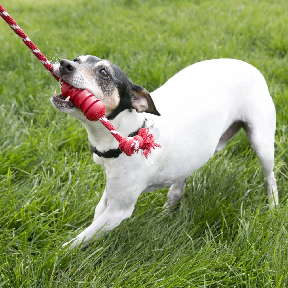 Kong Dental with Rope (Medium, Red)