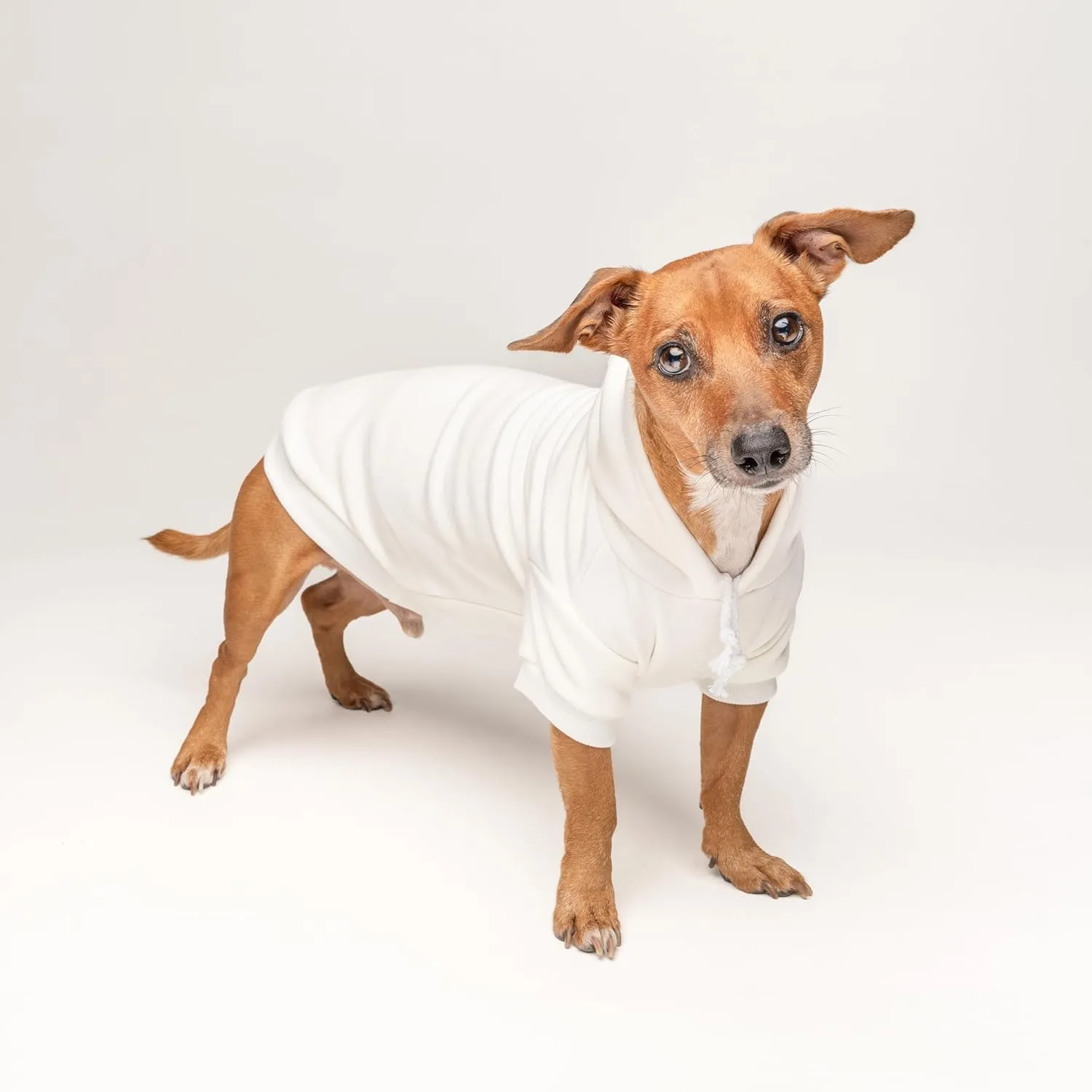 Love My Grandma Dog Hoodie | Fleece Lined |Leash Hole for Grandmother | Valentine's Day | Prop Photoshoot |Cream, X-Small (1243)