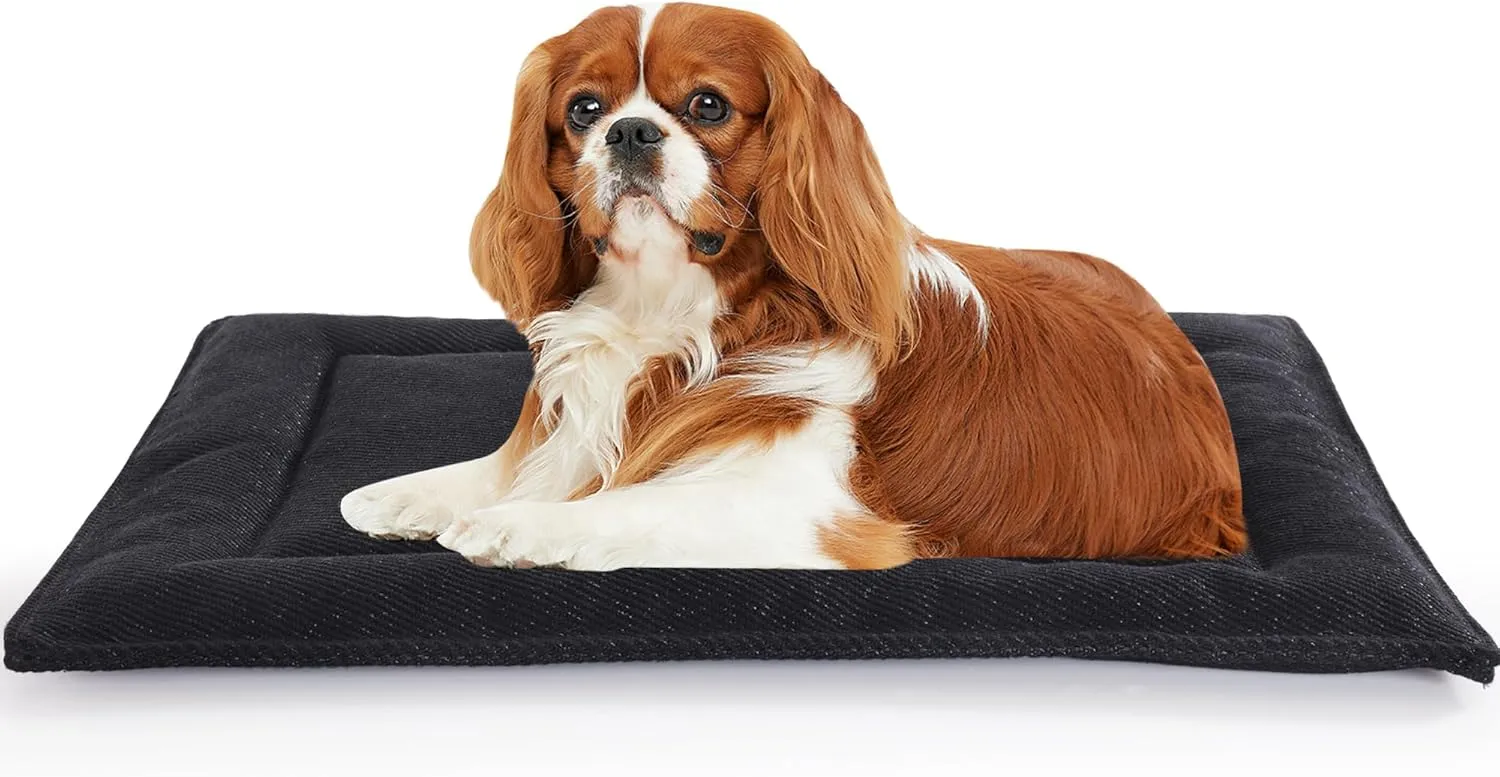 MABOZOO Indestructible Dog Bed for Aggressive Chewers, Tough Chew Proof Crate Pad for Small Puppy, Black Durable Dog Mat for Kennel, Machine Washable, 17x23 in