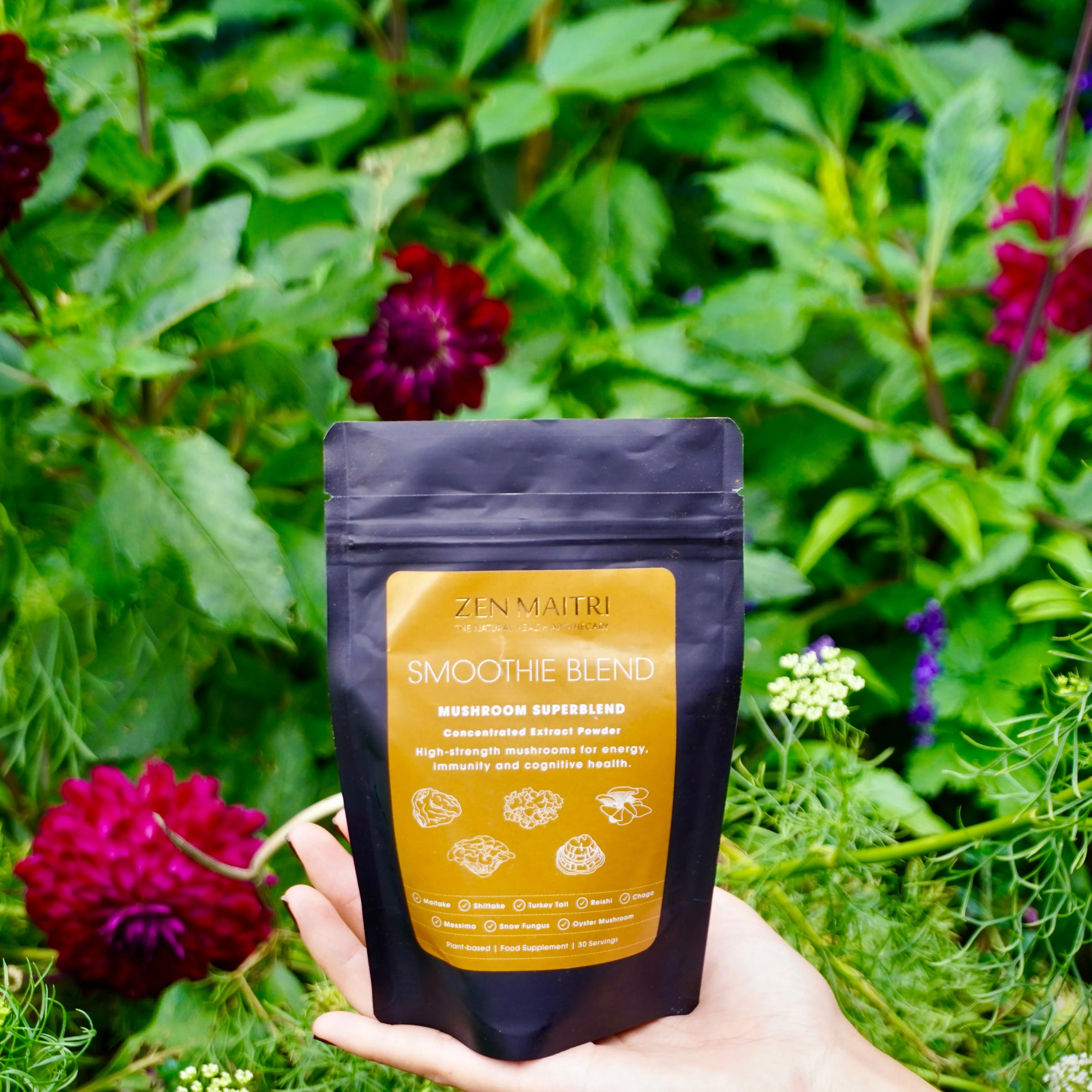 Mushroom Superblend | High Extract Strength for 360° Health Support (80g)