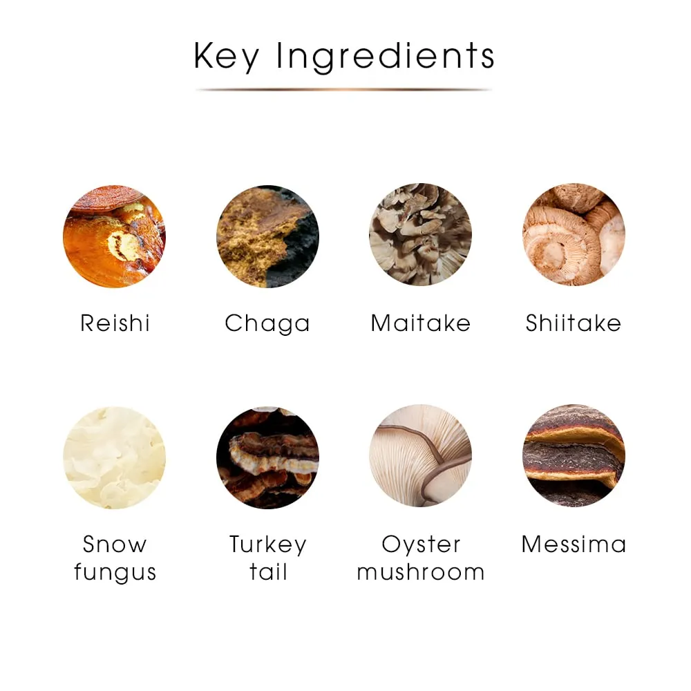 Mushroom Superblend | High Extract Strength for 360° Health Support (80g)