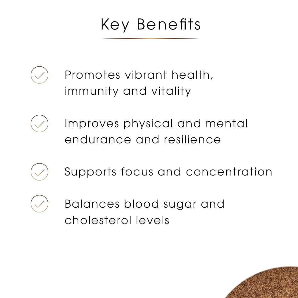 Mushroom Superblend | High Extract Strength for 360° Health Support (80g)