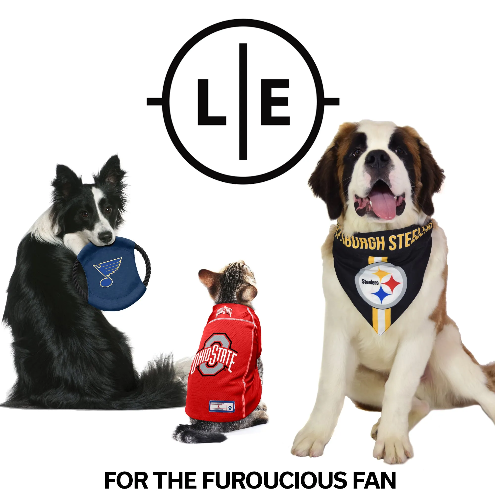 Oakland Raiders Front Clip Pet Harness