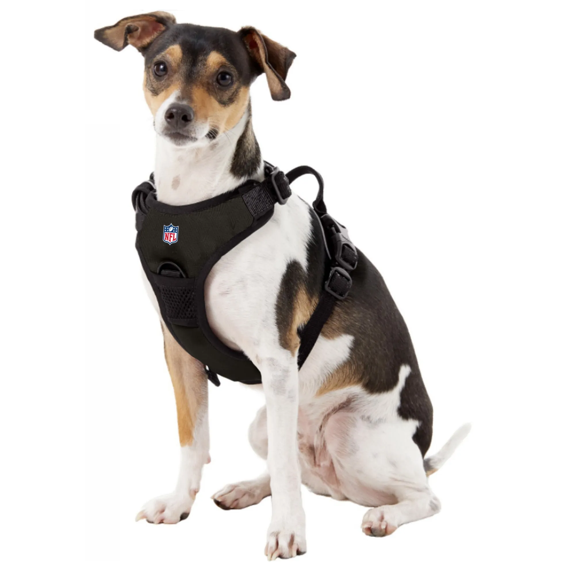 Oakland Raiders Front Clip Pet Harness