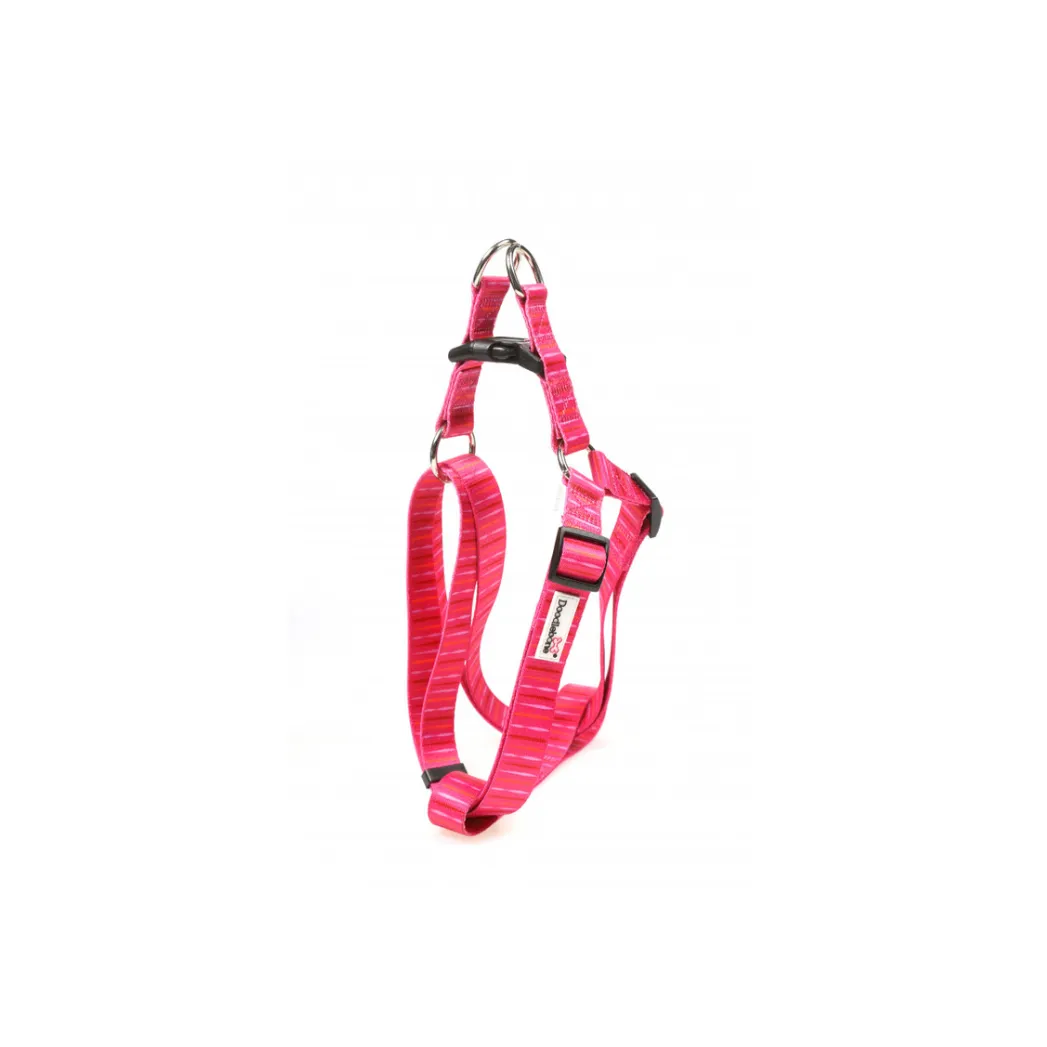 Pattern Harness