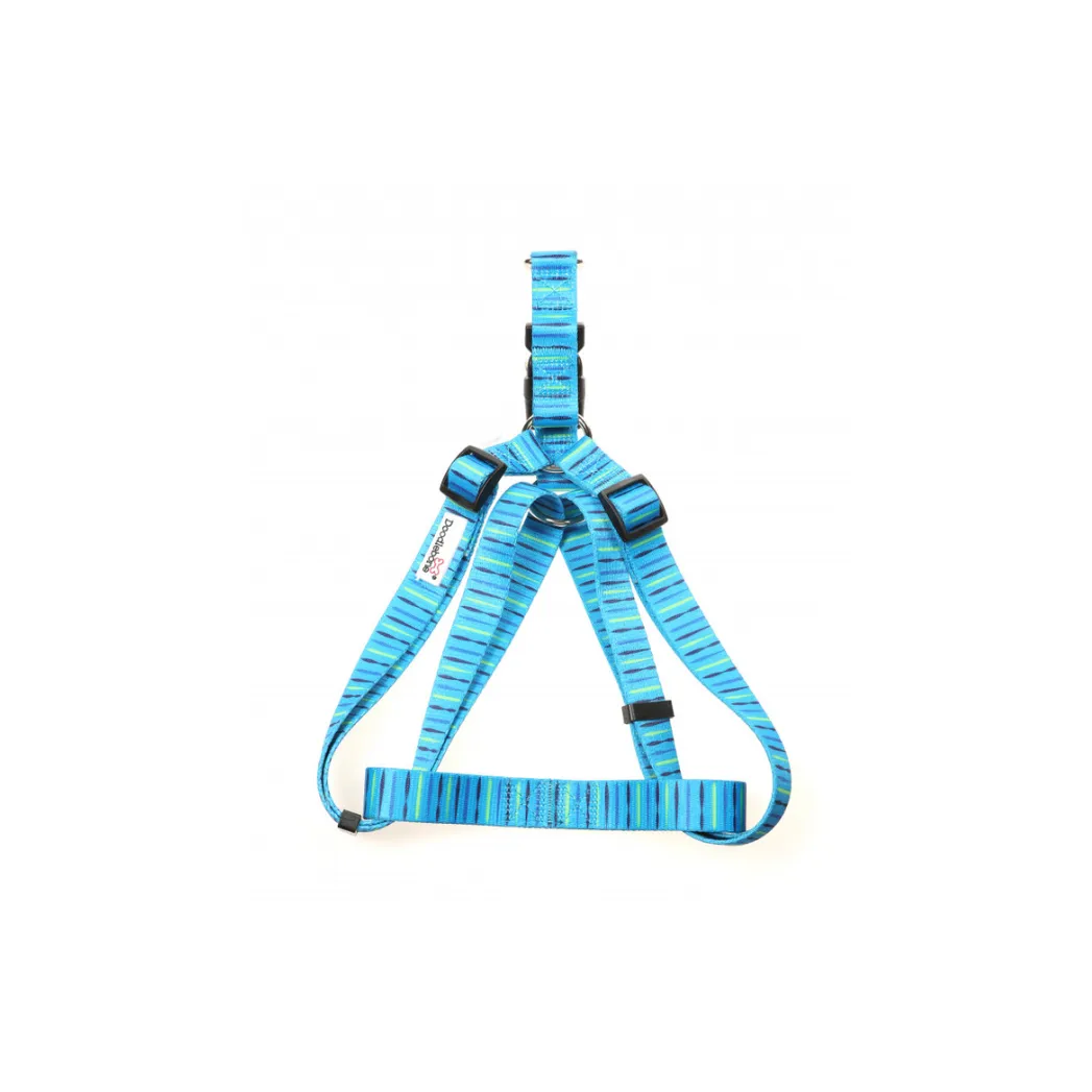 Pattern Harness