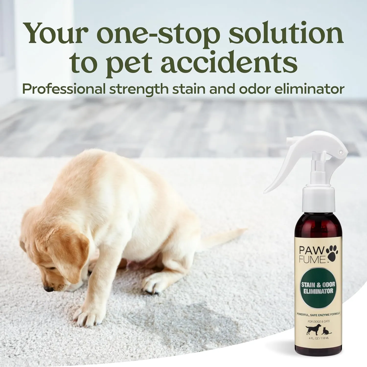PAWFUME Stain & Pet Urine Odor Eliminator, 1-Pack  Removes Impurities in Seconds  Enzymatic Formula, Quick-Dry Action, & Eco-Friendly Ingredients  Upholstery, Fabrics, and Carpet Cleaner Spray