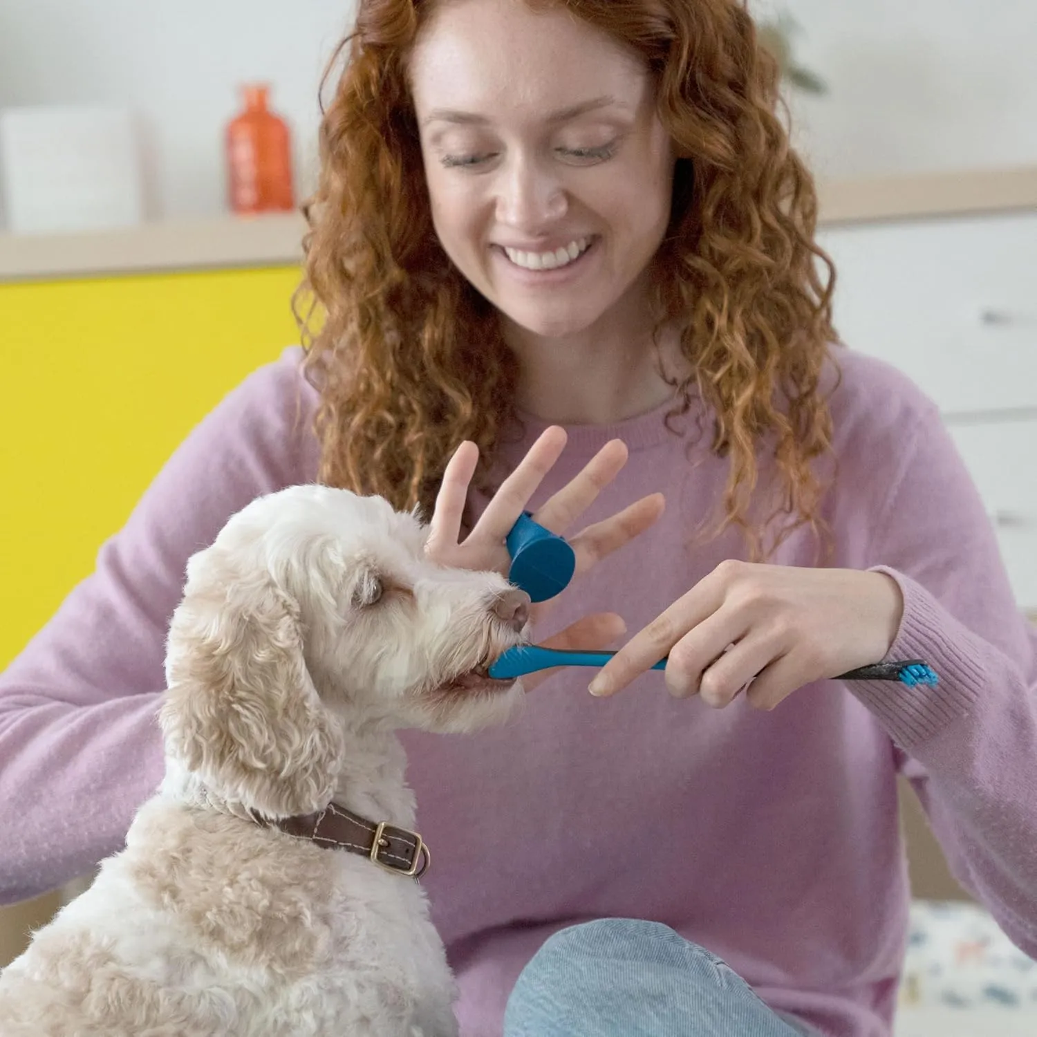 Pet Toothbrushing Assistant for Puppies' Dogs and Cats Allows You to Brush Your pets Teeth Without Constantly Worrying About Getting Bitten (Orange, Small)