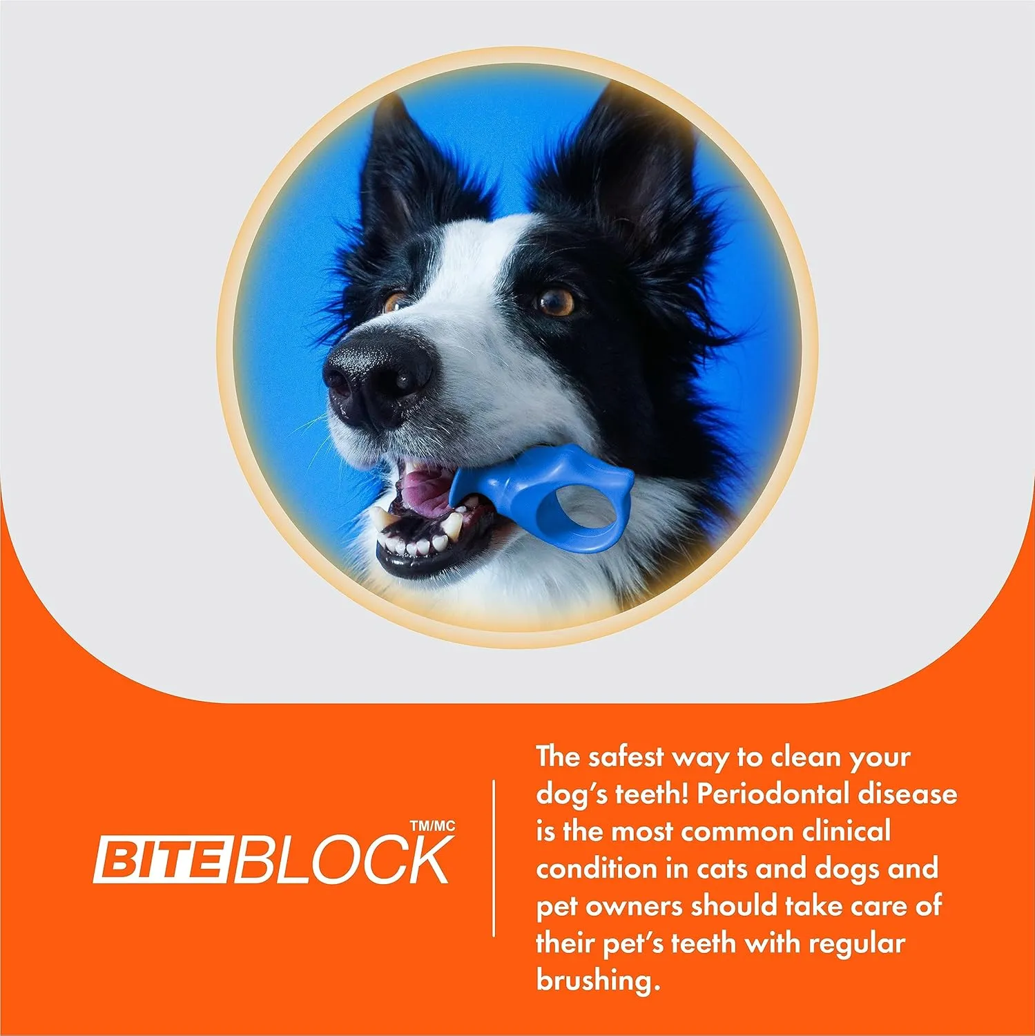 Pet Toothbrushing Assistant for Puppies' Dogs and Cats Allows You to Brush Your pets Teeth Without Constantly Worrying About Getting Bitten (Orange, Small)
