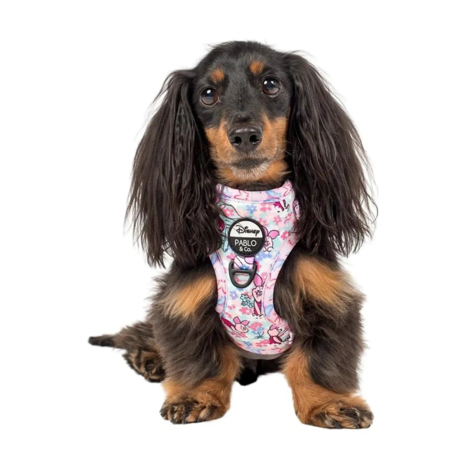 Piglet Adjustable Harness