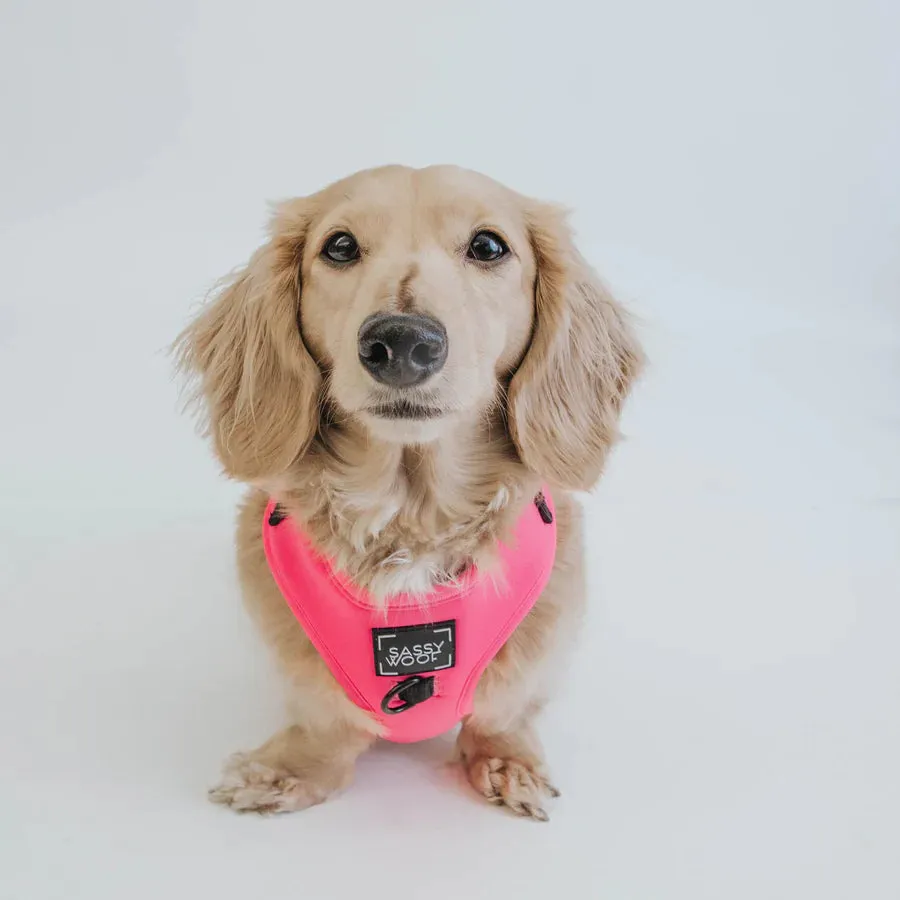 Pink Adjustable Harness