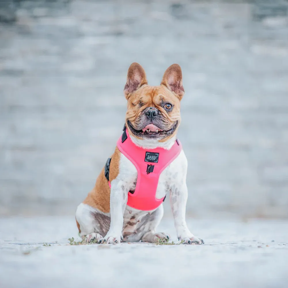 Pink Adjustable Harness