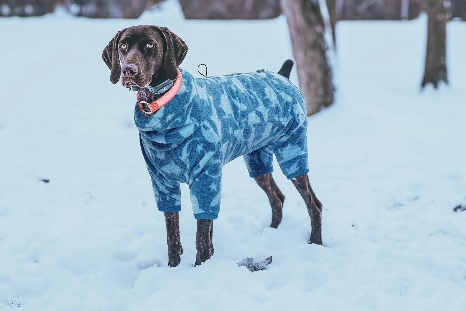 ROZKITCH Dog Winter Coat Soft Fleece Pullover Pajamas, Pet Windproof Warm Cold Weather Jacket Vest with Luminous Zipper, Jumpsuit Apparel Outfit Clothes for Small Medium Large Dog Shark L