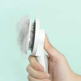 Self-Cleaning Best Cat Brush