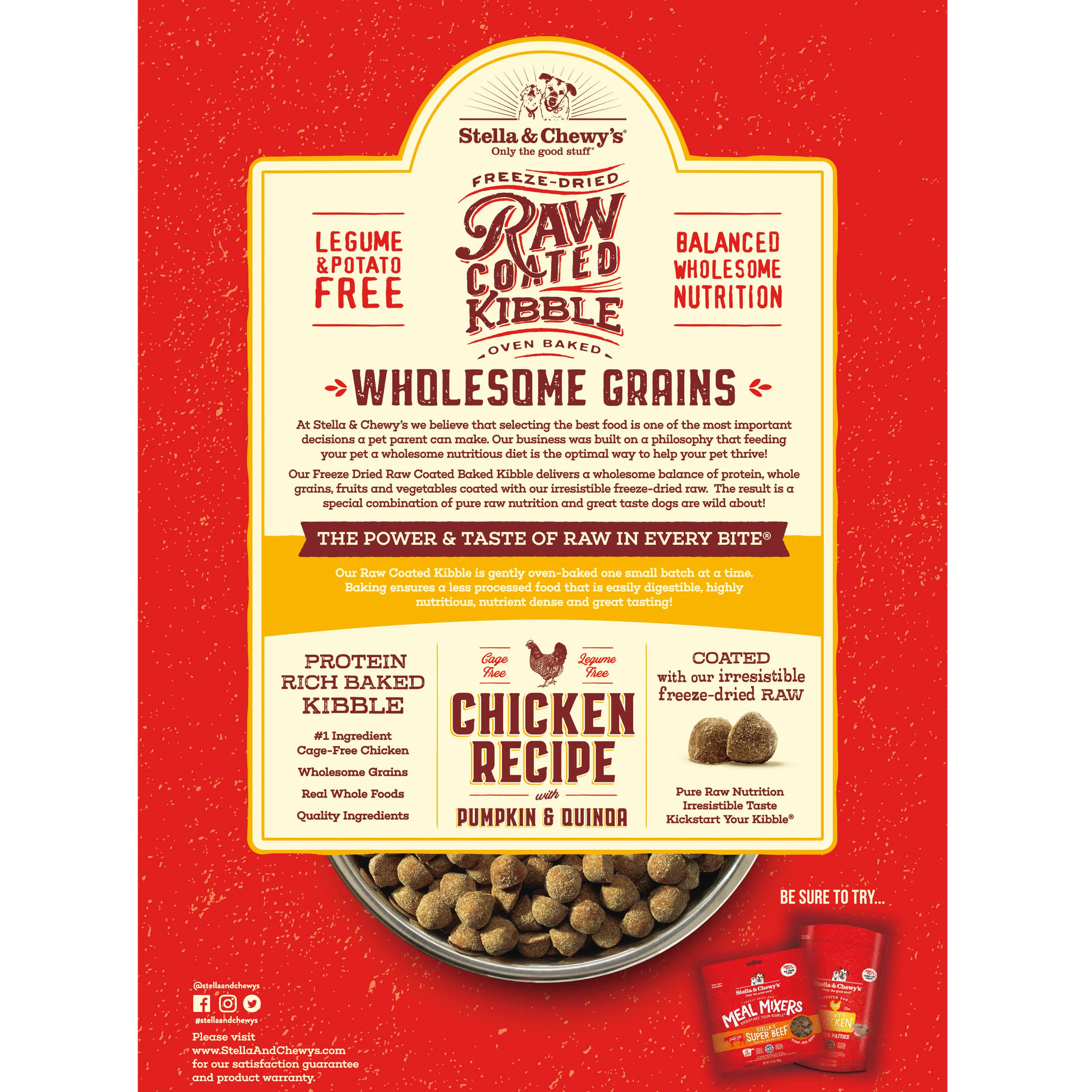 Stella & Chewy's Chicken Recipe with Pumpkin & Quinoa Raw Coated Kibble Wholesome Grains