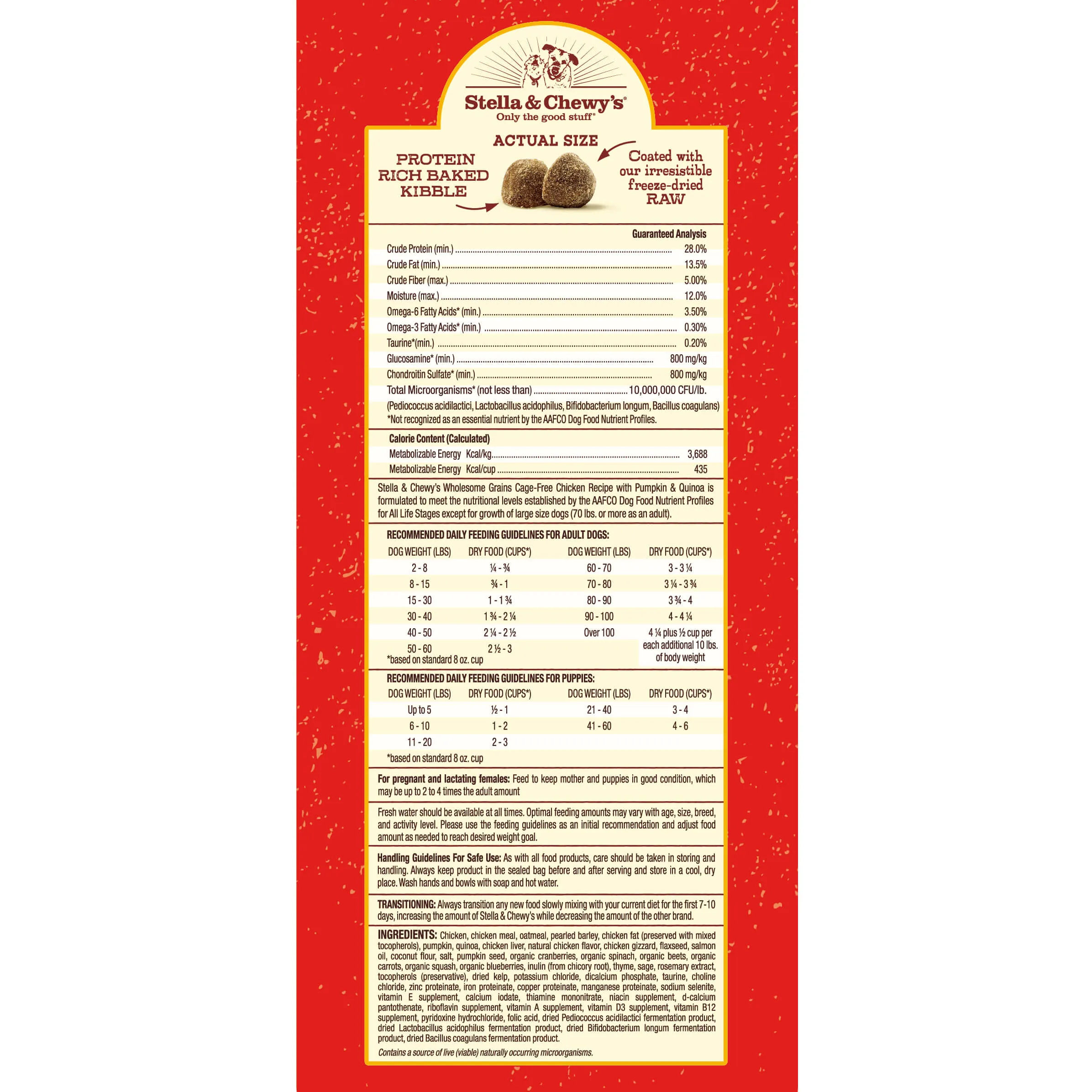 Stella & Chewy's Chicken Recipe with Pumpkin & Quinoa Raw Coated Kibble Wholesome Grains