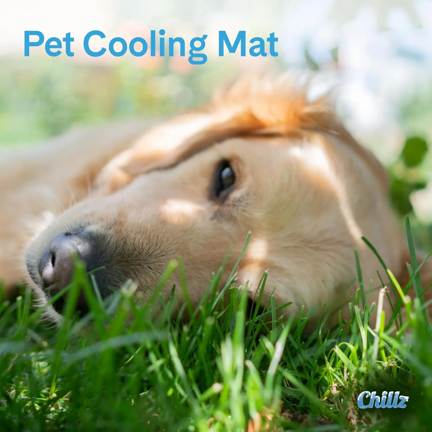 The Green Pet Shop Chillz Gel Mat, Large - Pressure-Activated Cooling Pad for Pets - Non-Toxic, No Water or Refrigeration Needed - Ideal for Home, Travel & Crates