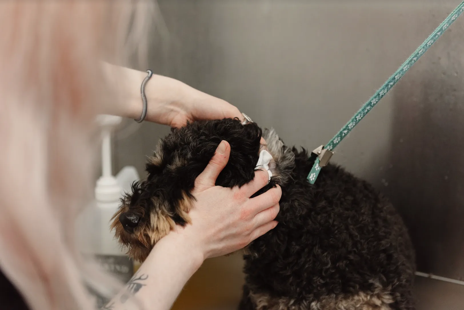 Topical Ear Cleaner for Healthy Ear Canal