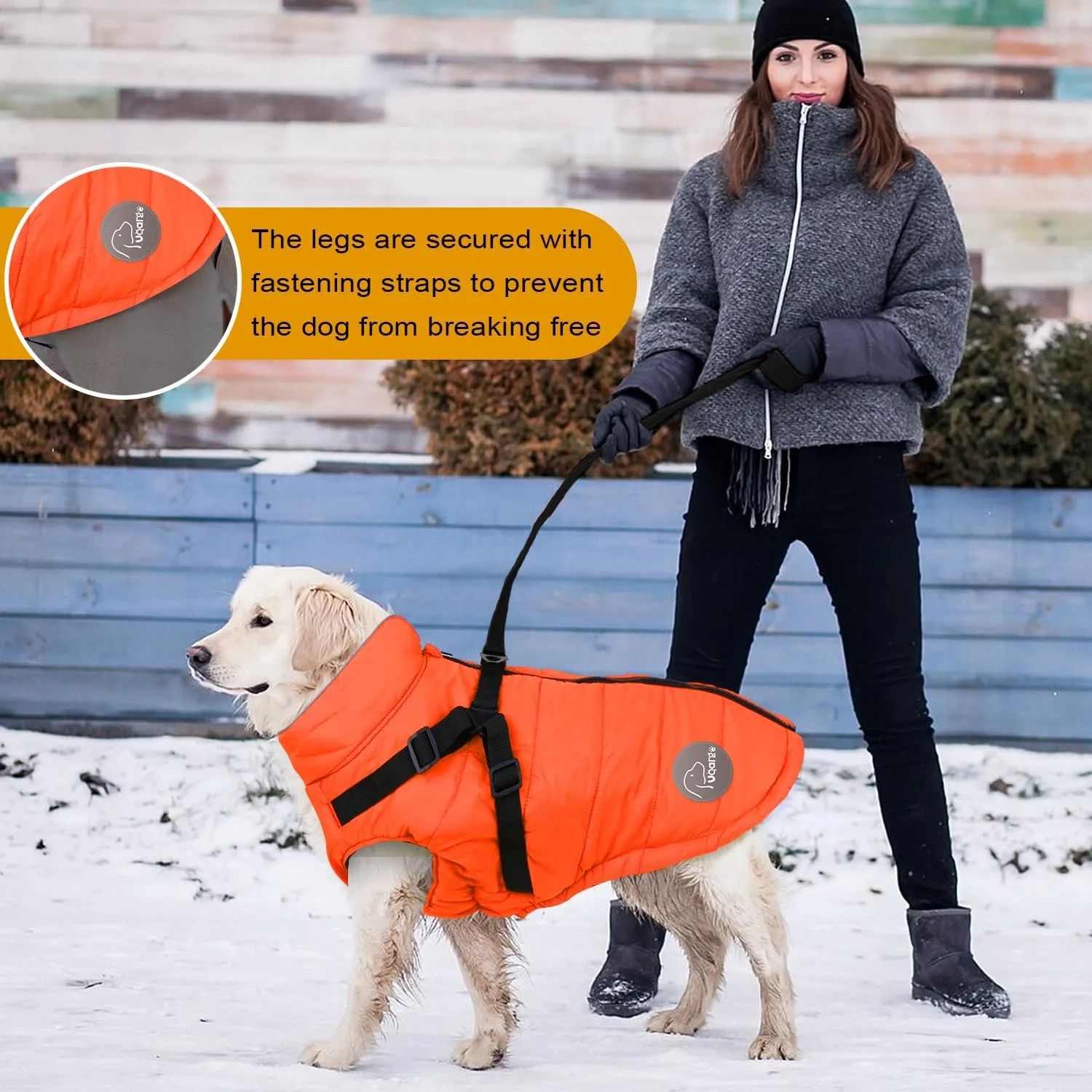 Warm Dog Winter Coat,Waterproof Dog Jacket with Built-in Harness,Dog Cold Weather Coat with Reflective Stripes,Winter Snow Dog Warm Coat for Small, Medium Dogs,Cold Weather Cozy (Green, S)