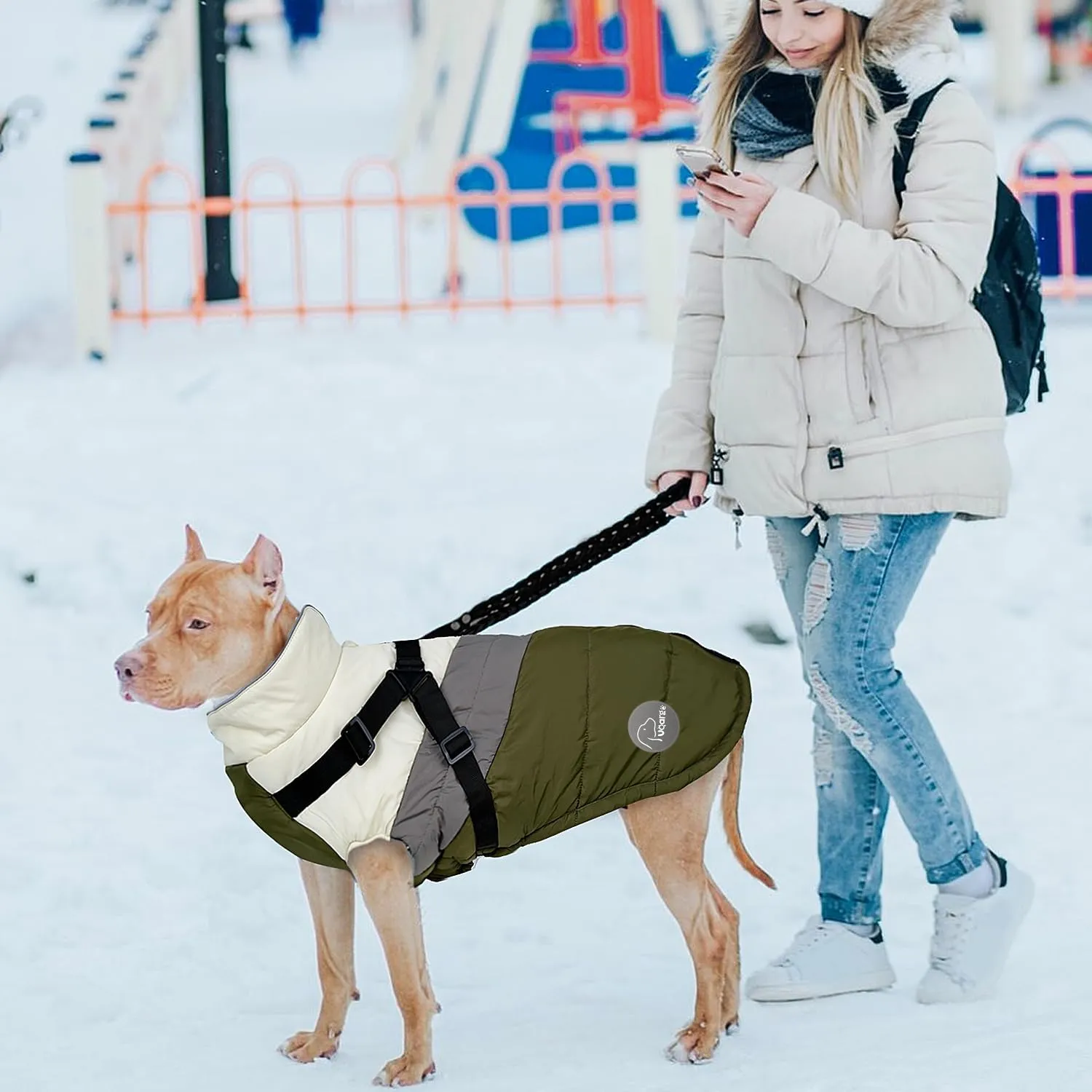 Warm Dog Winter Coat,Waterproof Dog Jacket with Built-in Harness,Dog Cold Weather Coat with Reflective Stripes,Winter Snow Dog Warm Coat for Small, Medium Dogs,Cold Weather Cozy (Green, S)