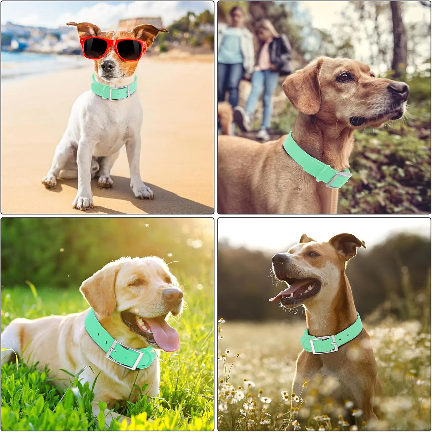 Wisedog Waterproof Dog Collar: Multiple Adjust 7" to 23.6", Soft Rubber Coated Webbing, Easy to Clean, for Small Medium Large Dogs (XS|7"-10"  1/2 in, Mint Green)