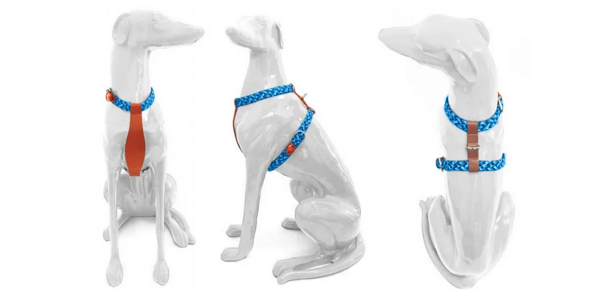 Y-Harness - Orange Tangerine